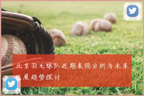 北京羽毛球队近期表现分析与未来发展趋势探讨