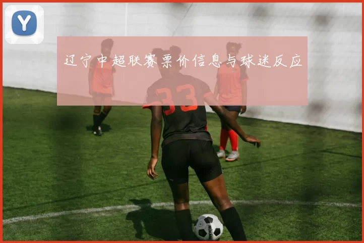辽宁中超联赛票价信息与球迷反应