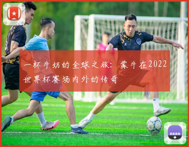 一杯牛奶的全球之旅：蒙牛在2022世界杯赛场内外的传奇
