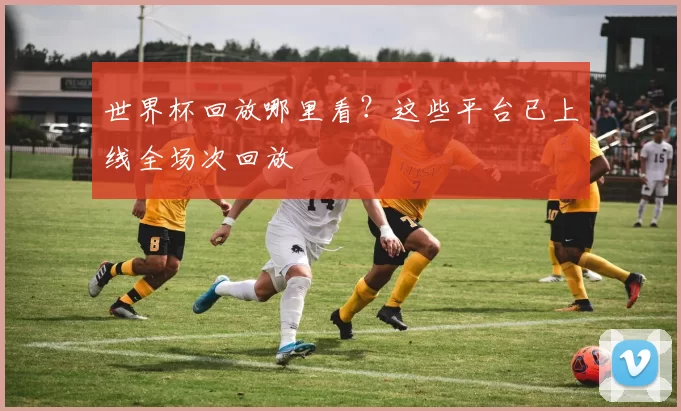 世界杯回放哪里看？这些平台已上线全场次回放