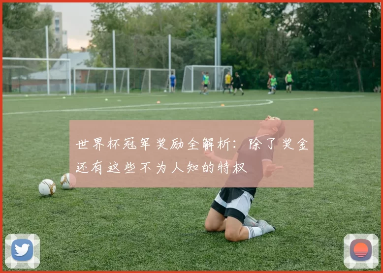 世界杯冠军奖励全解析：除了奖金还有这些不为人知的特权
