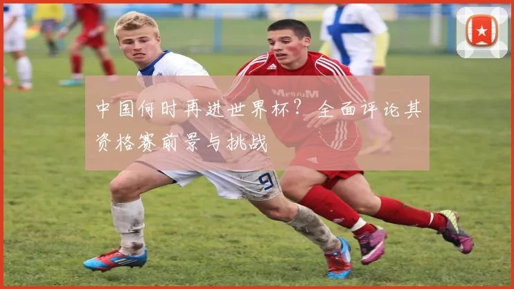 中国何时再进世界杯？全面评论其资格赛前景与挑战