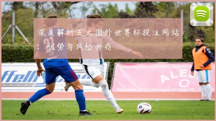 深度解析五大国外世界杯投注网站：优势与风险并存