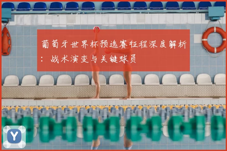葡萄牙世界杯预选赛征程深度解析：战术演变与关键球员
