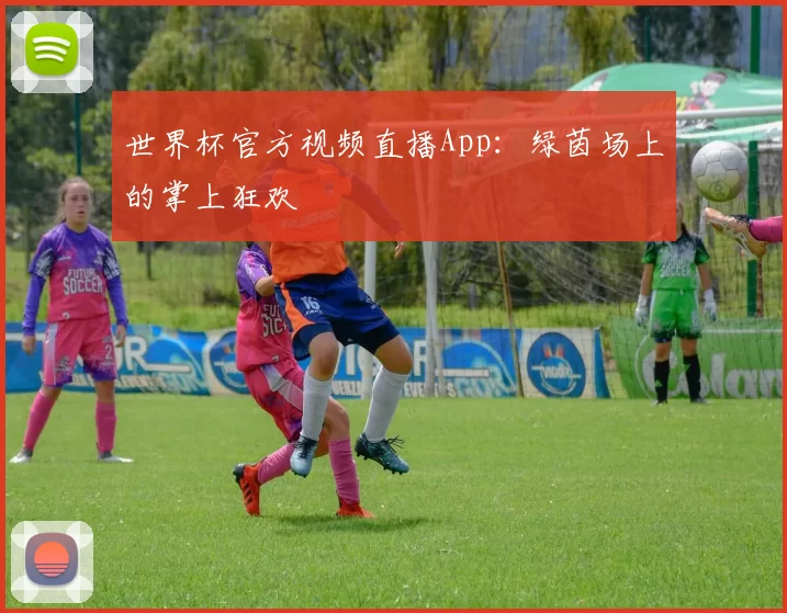 世界杯官方视频直播App：绿茵场上的掌上狂欢