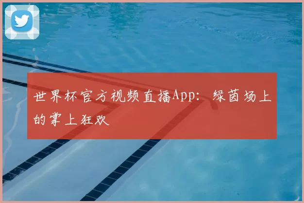 世界杯官方视频直播App:绿茵场上的掌上狂欢