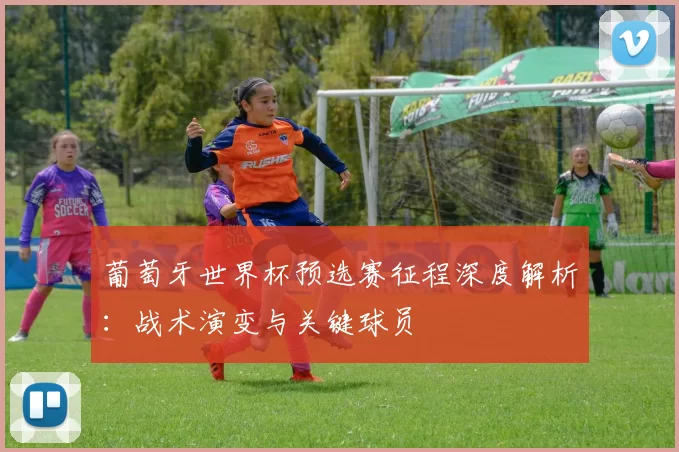 葡萄牙世界杯预选赛征程深度解析:战术演变与关键球员