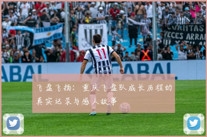 飞盘飞扬：重庆飞盘队成长历程的真实记录与感人故事