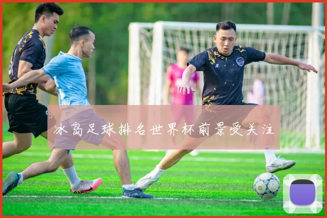 冰岛足球排名世界杯前景受关注